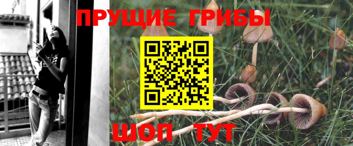 Галлюциногенные грибы мухоморы  Псилоцибиновые грибы ЛСД  Вход с VPN  Муром 