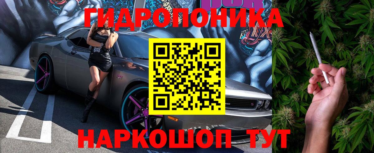 Конопля марихуана Муром